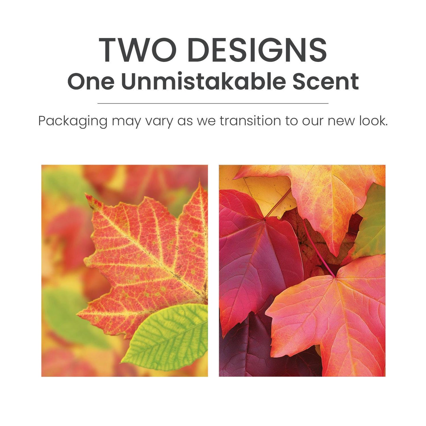 Autumn Leaves®